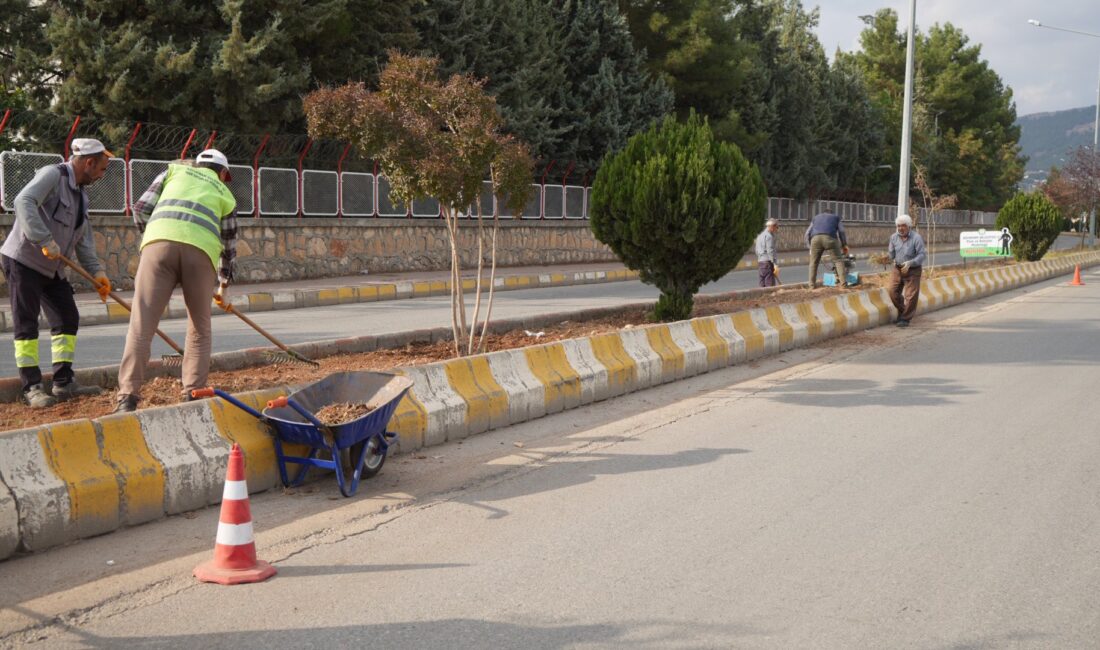 Belediyeye bağlı Park ve