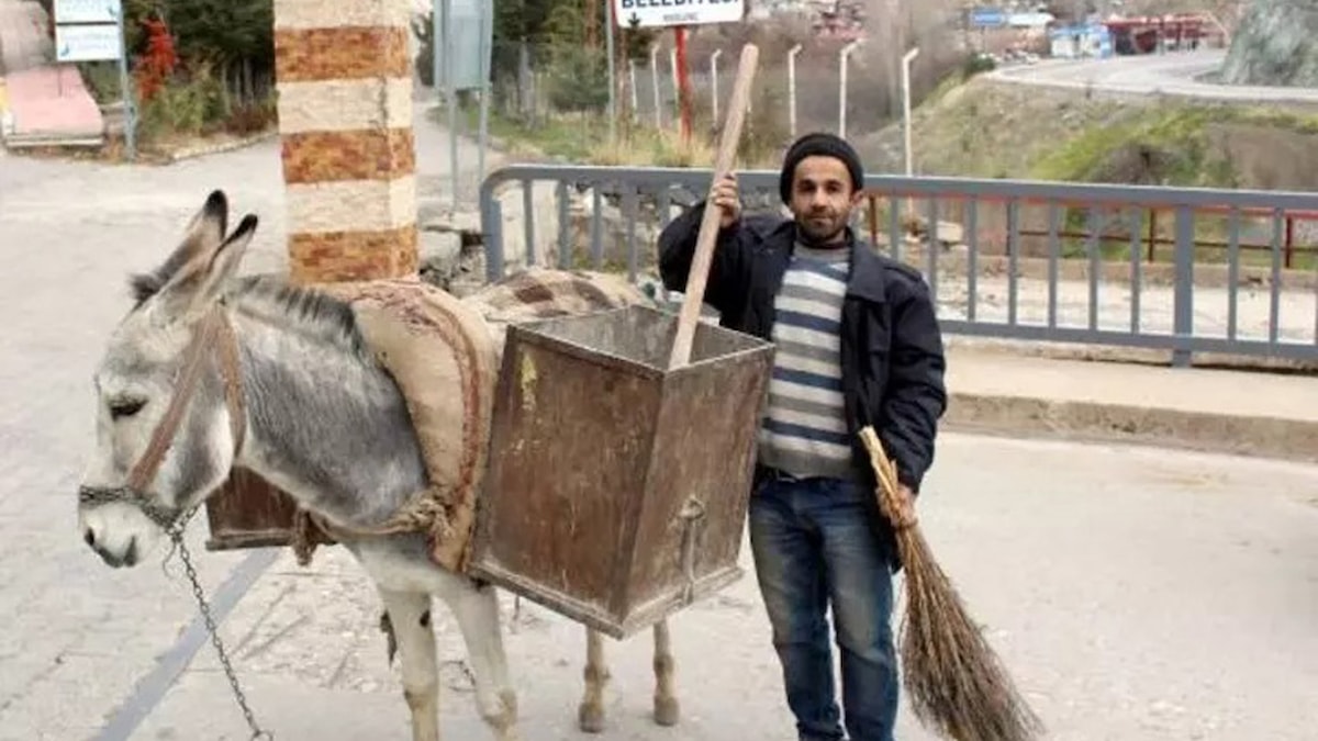 AKP’li başkanın aldığı kadrolu eşekler kayıp