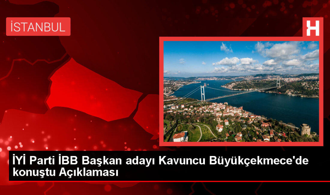 İyi Parti İstanbul Büyükşehir