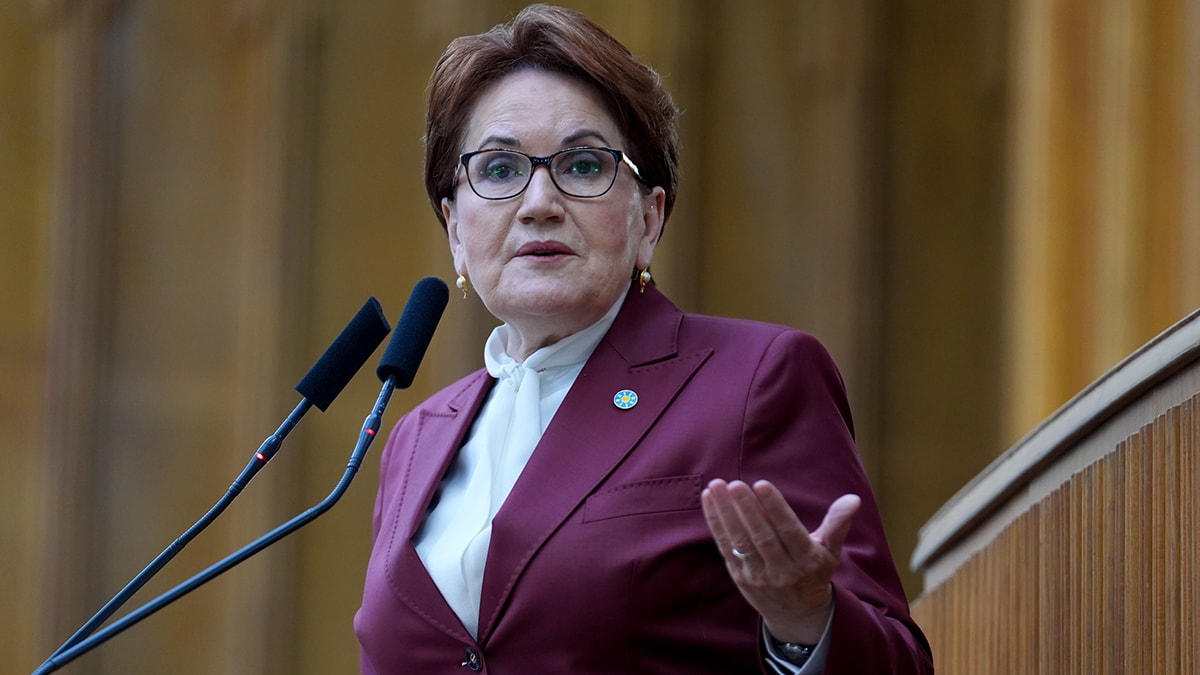 Meral Akşener: Tutun elimden…