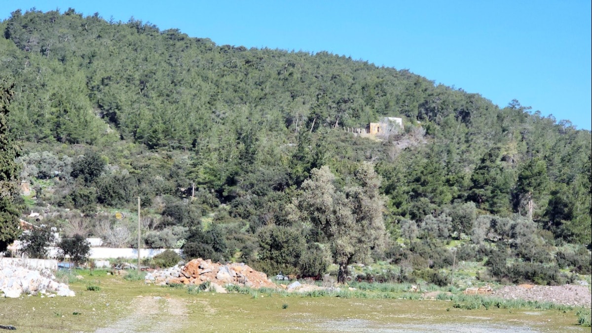 Bodrum’un cennet ormanları kurtuldu