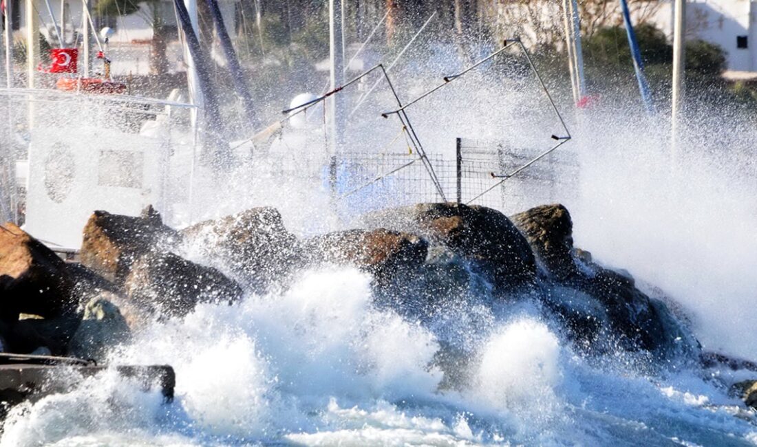 Muğla'nın Bodrum ilçesinde bu