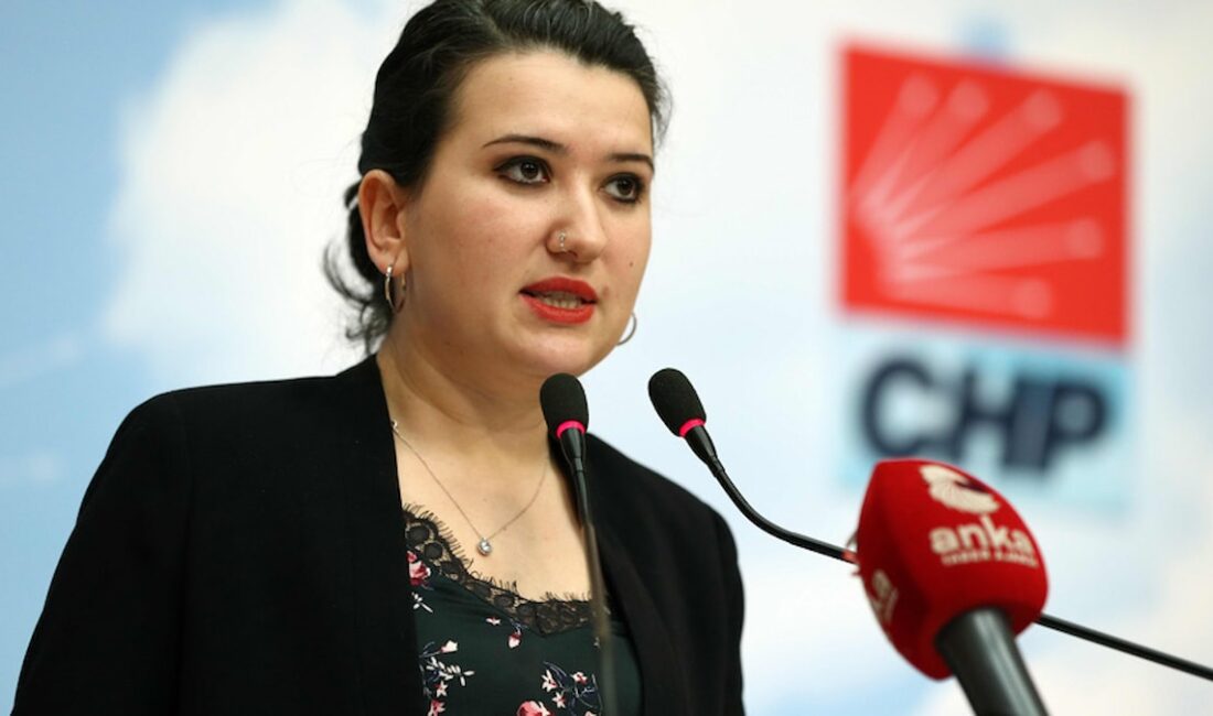 CHP’li vekil Gökçen, Adalet