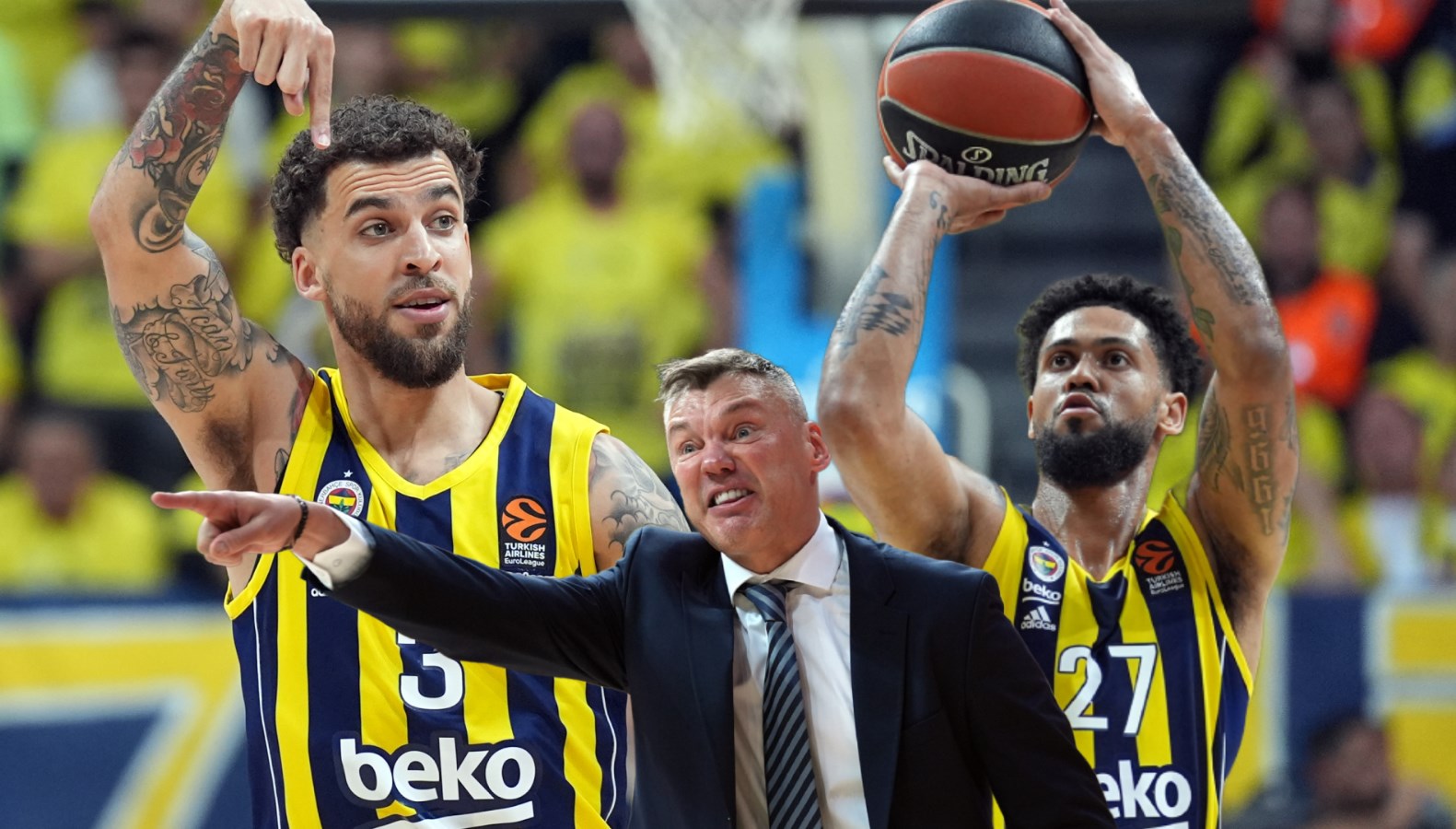 Fenerbahçe Beko – Panathinaikos (Canlı anlatım)